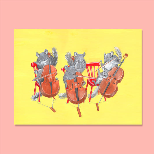 Chinchilla-cellister poster